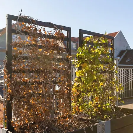 Apartmán 200 M Fra Rutebilstation - Privat Terrasse, Grill Århus